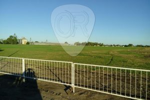 la colmena 1