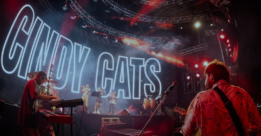 cindycats